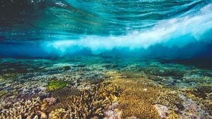 Great Barrier Reef, Australia