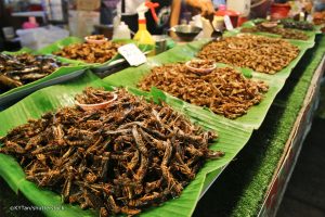 Fried Insects, Phuket, Thailand