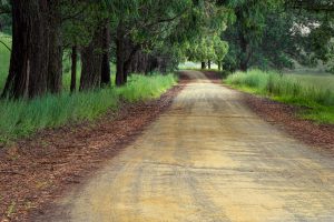 Road Pathway