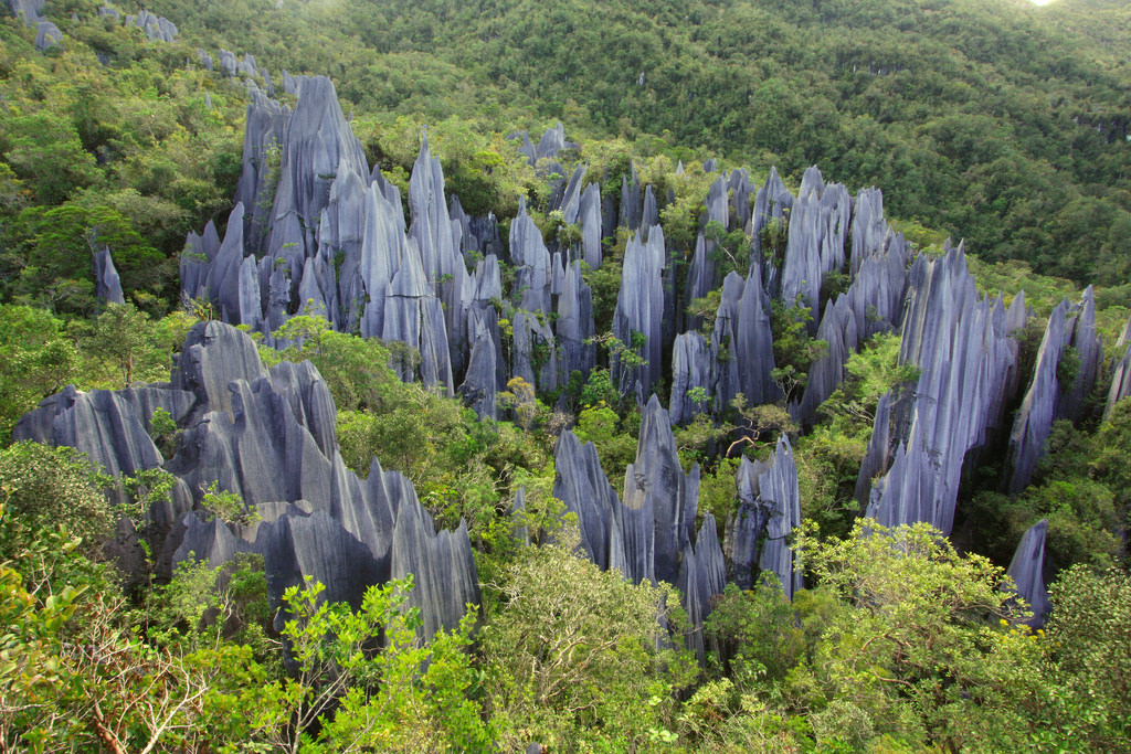 Pinnacles Trail, Gunung Mulu National Park for Malaysia holiday